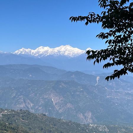 Forest Lodge - 80 Mts From Mall Road Darjeeling  Buitenkant foto